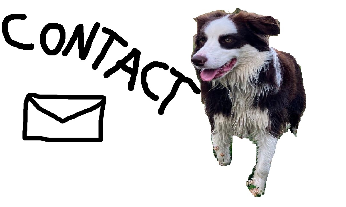 Contact